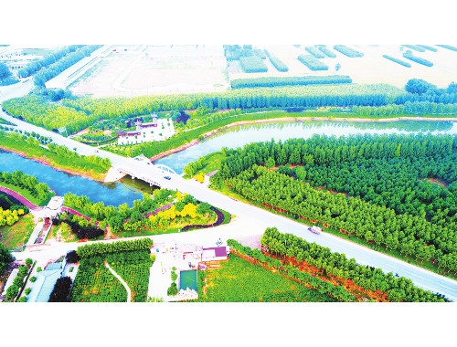 松江城市绿化工程施工及验收规范最新